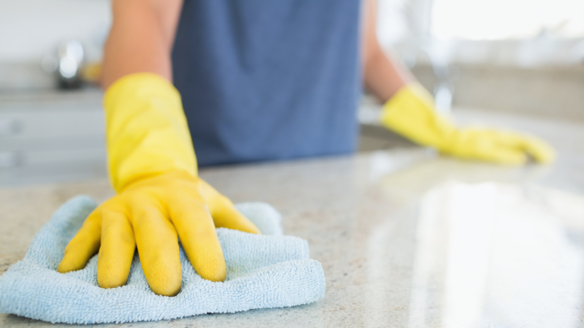 1 regular domestic cleaning arlo cleaning services2